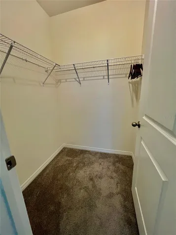 32557 Turtle Grace Loop Wesley Chapel FL 33545