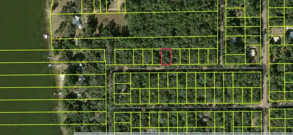 Lot 7, Unit 7, Blk 42 Buckles Avenue Interlachen FL 32148
