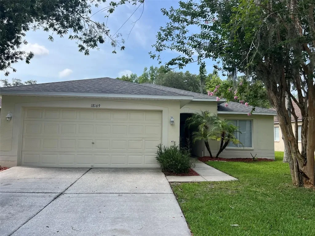 18169 Sandy Pointe Drive Tampa FL 33647