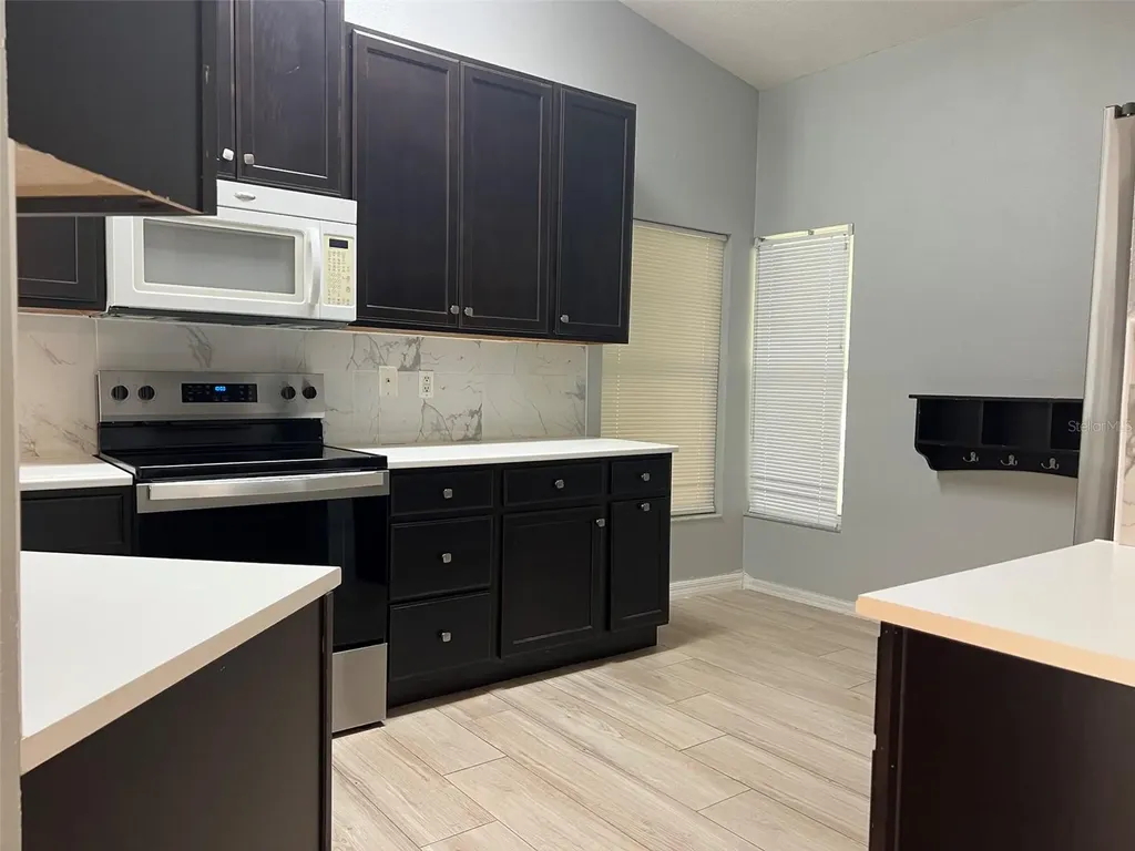 18169 Sandy Pointe Drive Tampa FL 33647