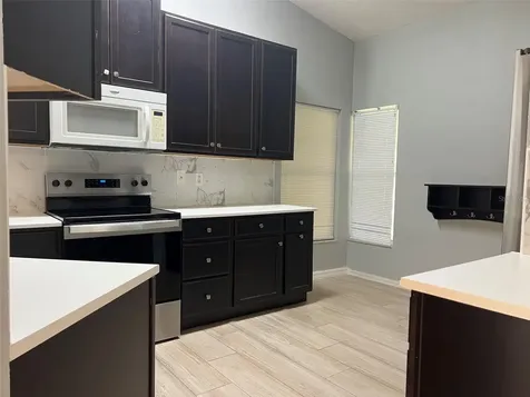 18169 Sandy Pointe Drive Tampa FL 33647