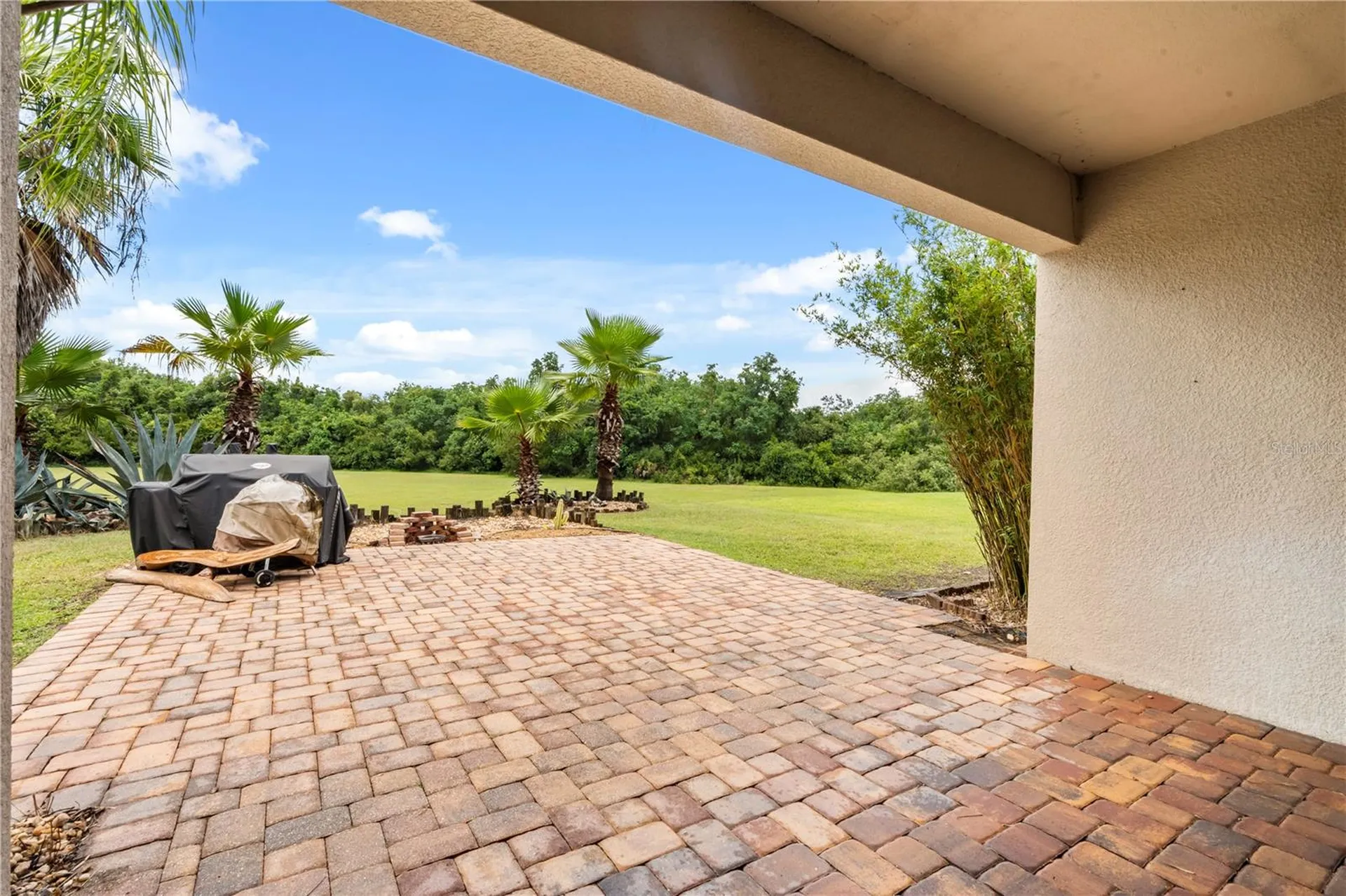 2355 Sabastian Street Mount Dora FL 32757