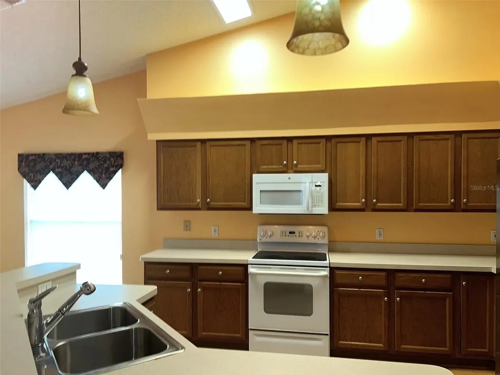 18702 Bellevista Court Hudson FL 34667