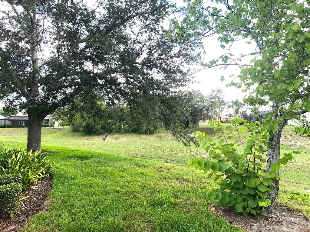 18702 Bellevista Court Hudson FL 34667