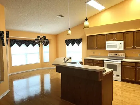 18702 Bellevista Court Hudson FL 34667