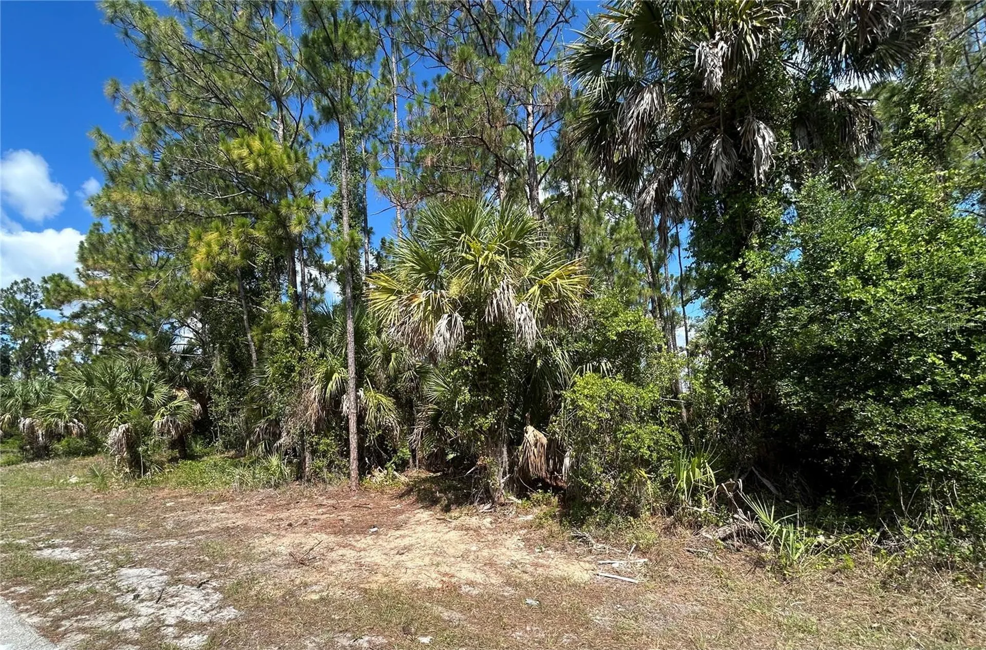 Billberry Street North Port FL 34288