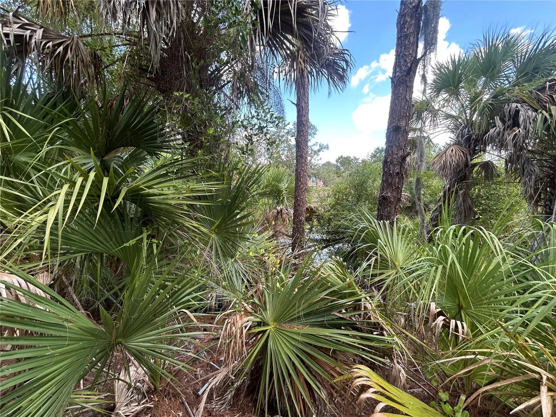 Billberry Street North Port FL 34288
