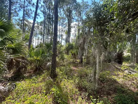 Billberry Street North Port FL 34288