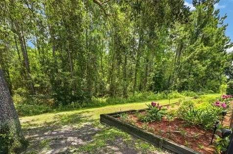 6587 Old Carriage Road Winter Garden FL 34787