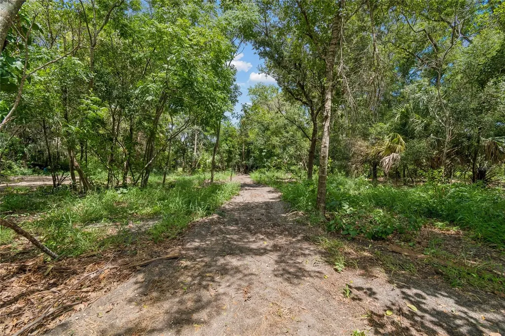 15628 Carlton Lake Road Wimauma FL 33598