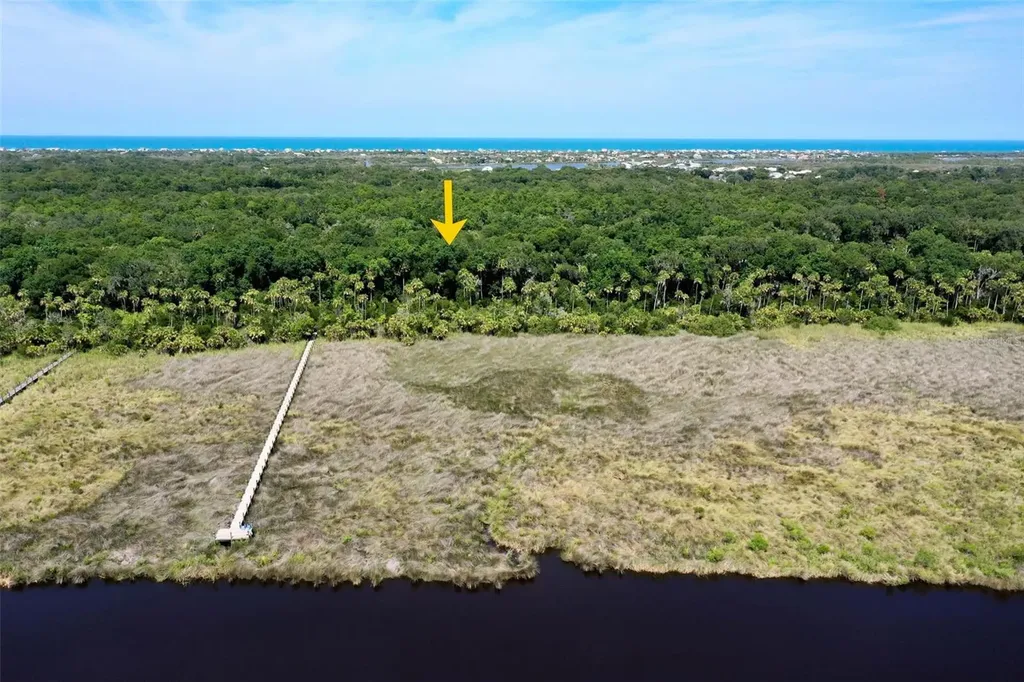 73 Bridle Ridge Court Flagler Beach FL 32136