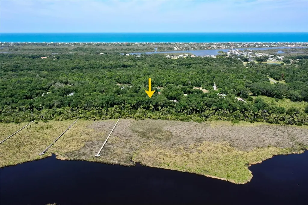 73 Bridle Ridge Court Flagler Beach FL 32136