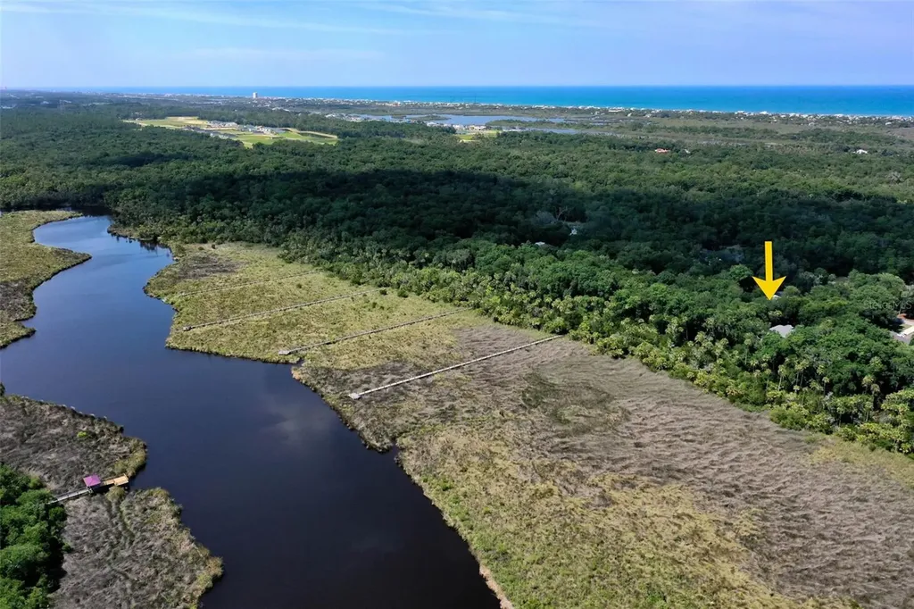 73 Bridle Ridge Court Flagler Beach FL 32136