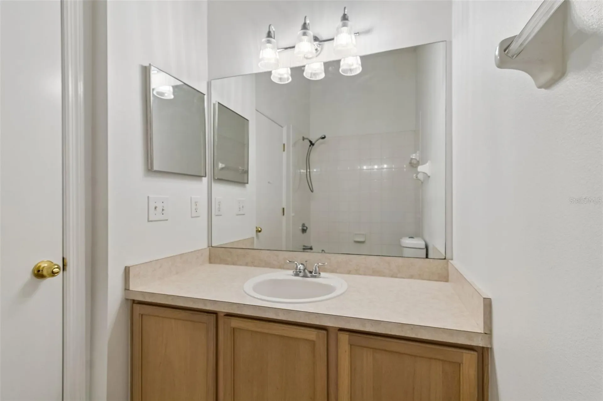 6245 Osprey Lake Circle Riverview FL 33578