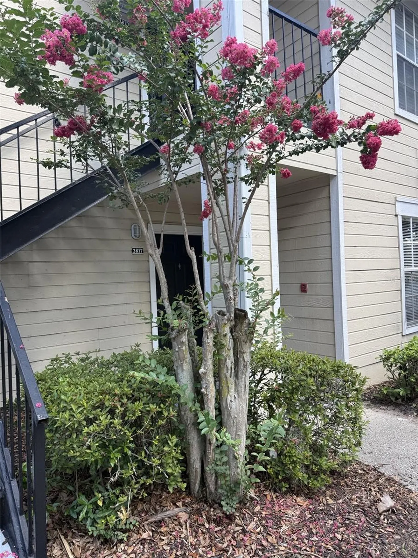 1037 S Hiawassee Road Orlando FL 32835