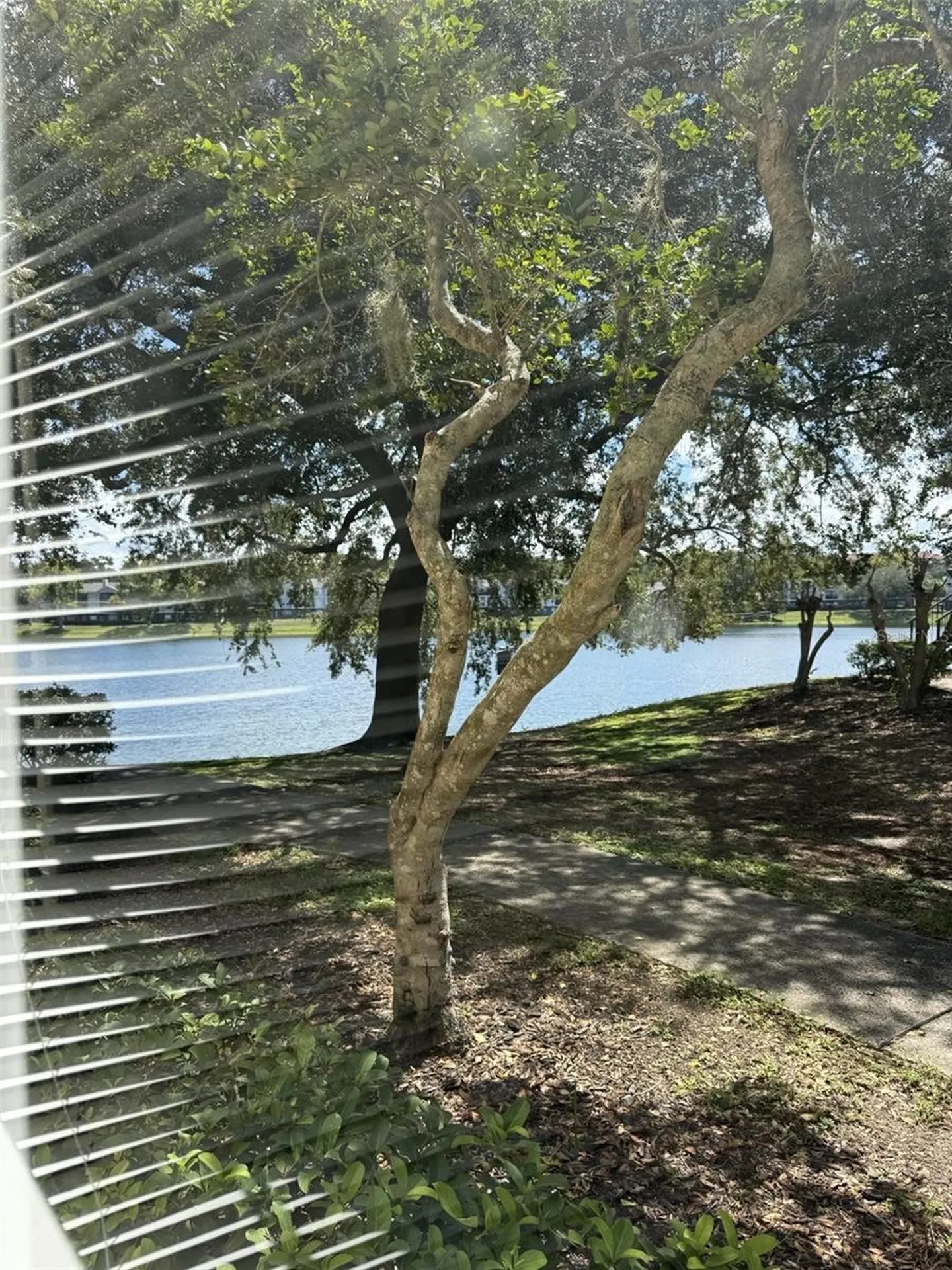 1037 S Hiawassee Road Orlando FL 32835