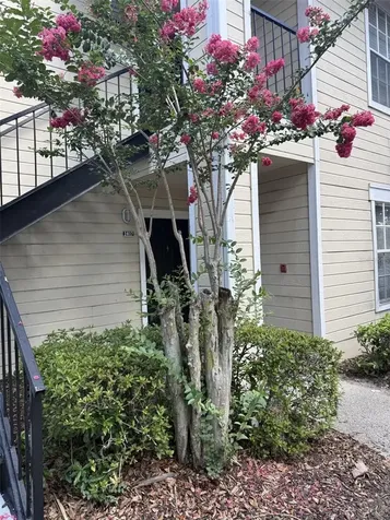 1037 S Hiawassee Road Orlando FL 32835