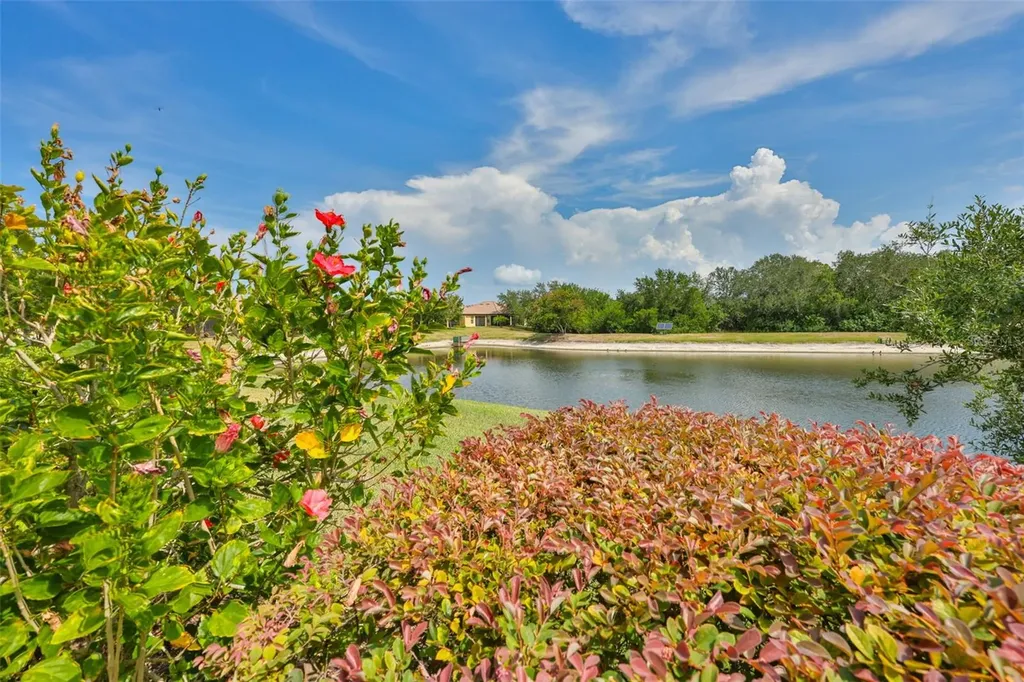 5618 Sunset Falls Drive Apollo Beach FL 33572