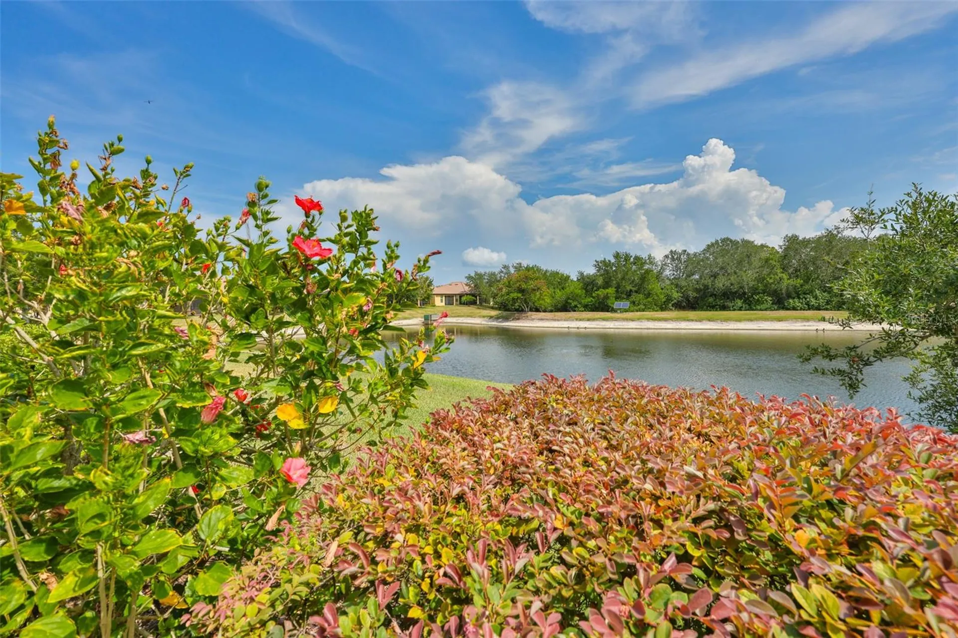 5618 Sunset Falls Drive Apollo Beach FL 33572