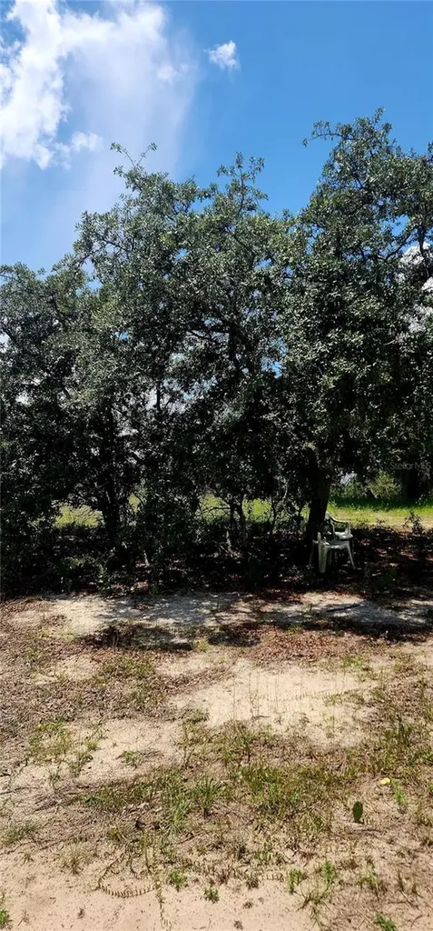 562 Libby Road Babson Park FL 33827