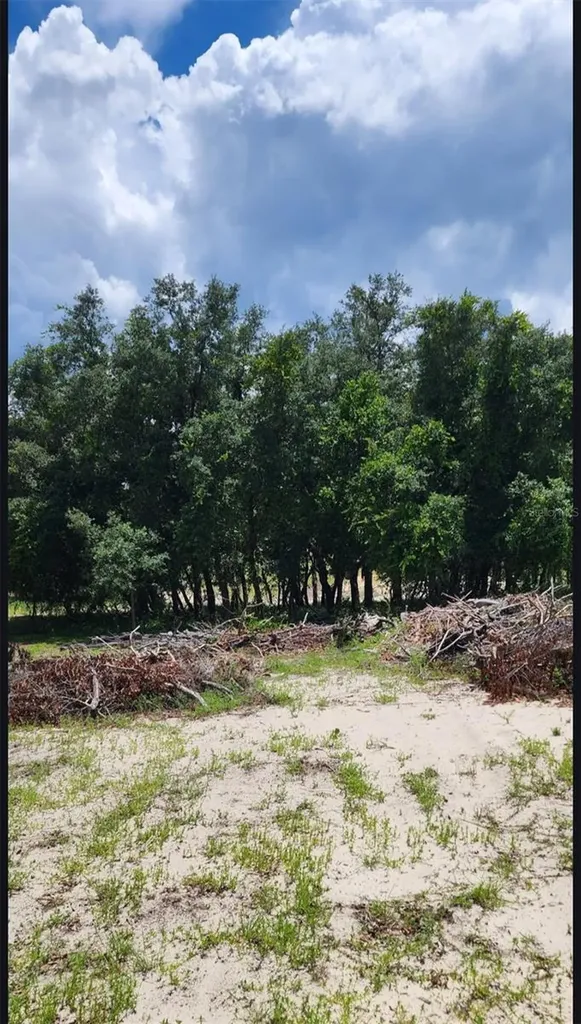 562 Libby Road Babson Park FL 33827