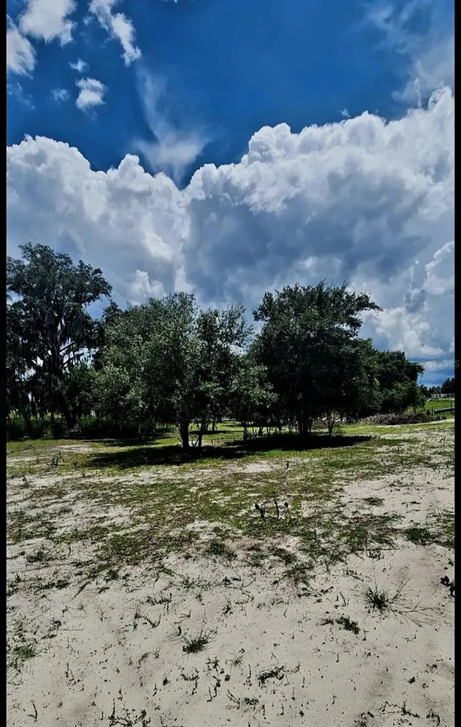 562 Libby Road Babson Park FL 33827