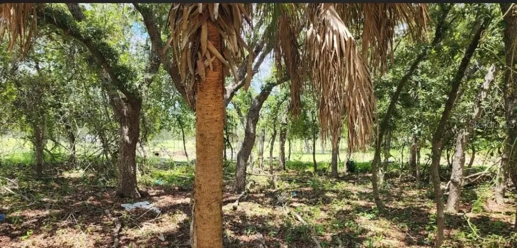562 Libby Road Babson Park FL 33827