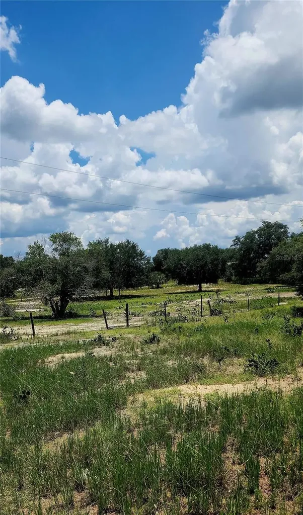 562 Libby Road Babson Park FL 33827