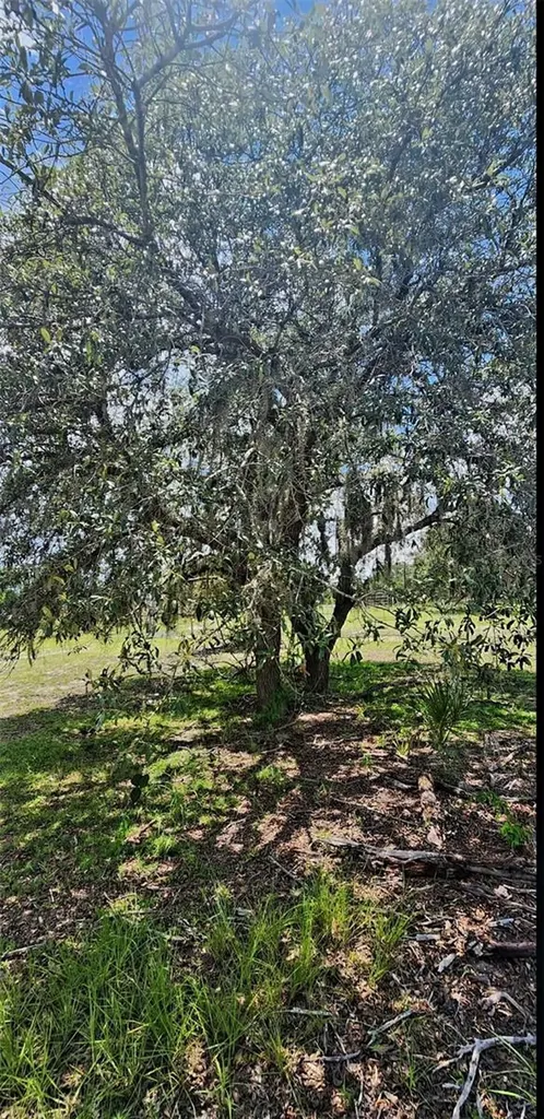 562 Libby Road Babson Park FL 33827