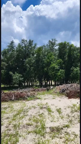 562 Libby Road Babson Park FL 33827