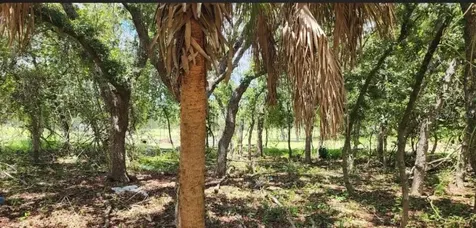562 Libby Road Babson Park FL 33827