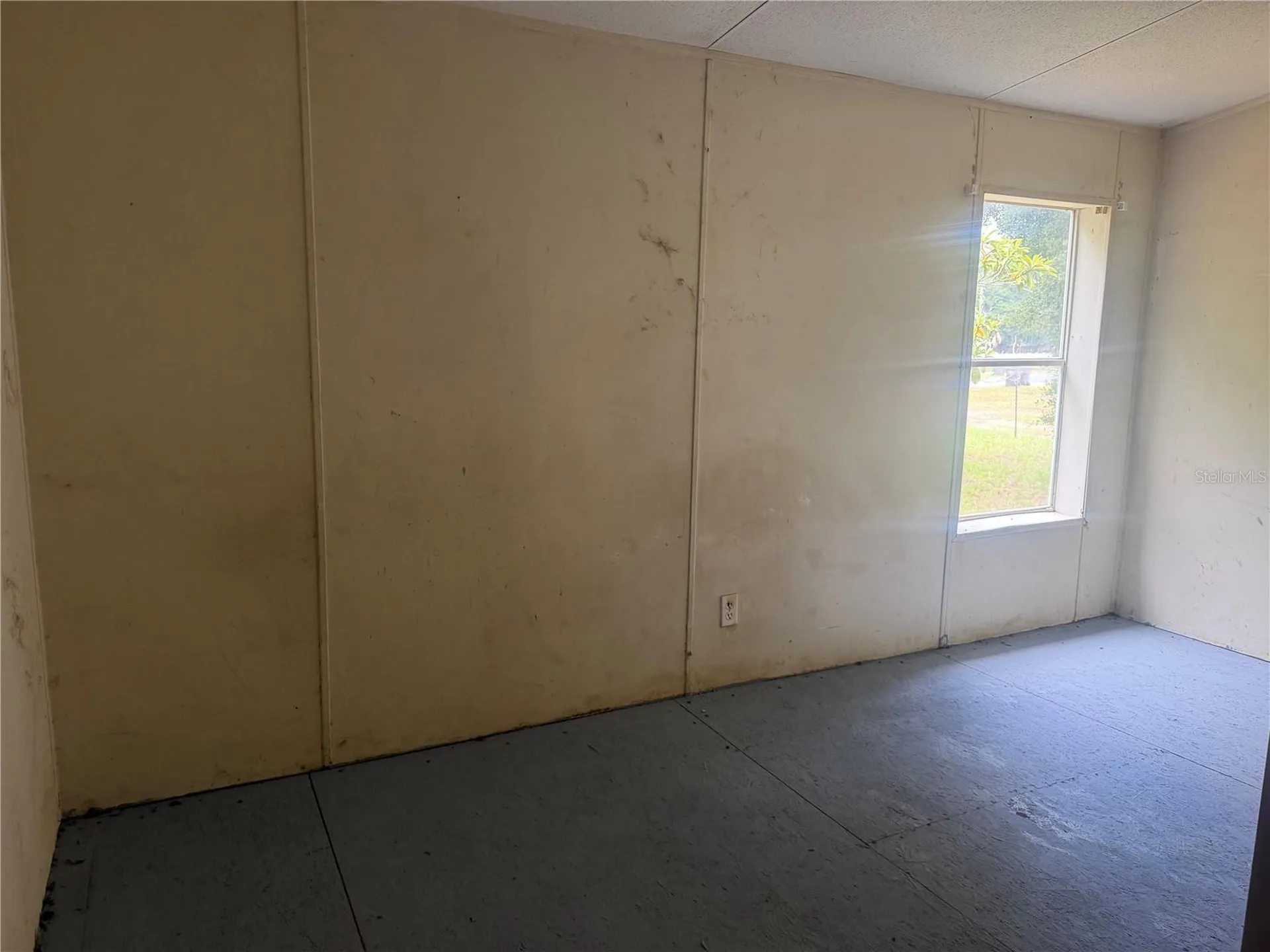 12909 Darla Drive Riverview FL 33579