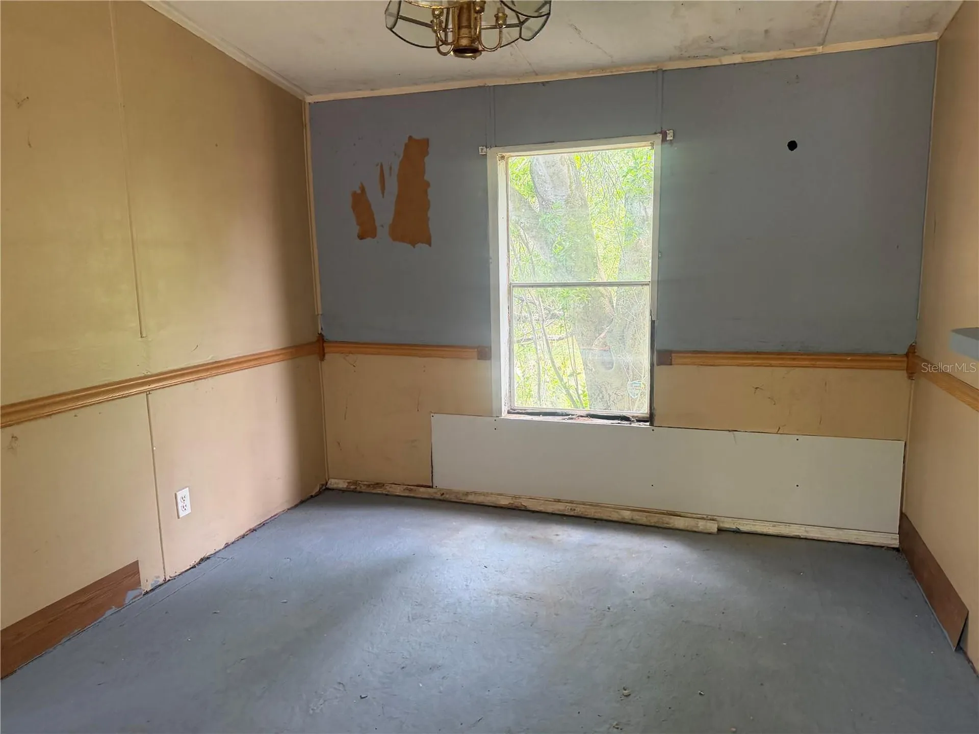 12909 Darla Drive Riverview FL 33579