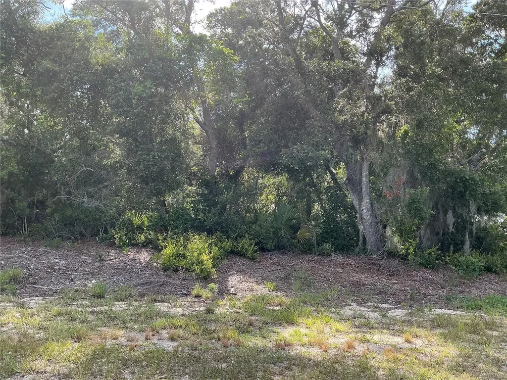 Olive Road Ocala FL 34472