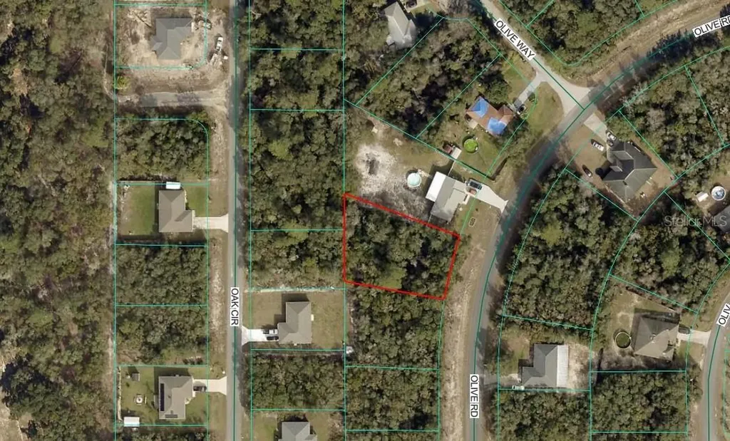 Olive Road Ocala FL 34472