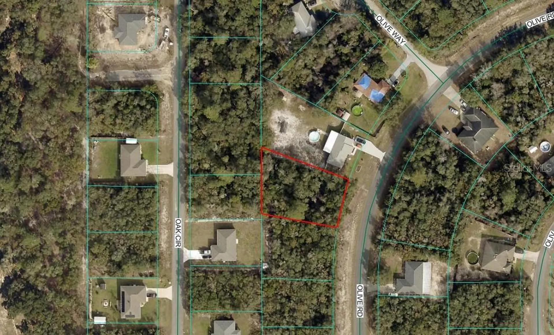 Olive Road Ocala FL 34472