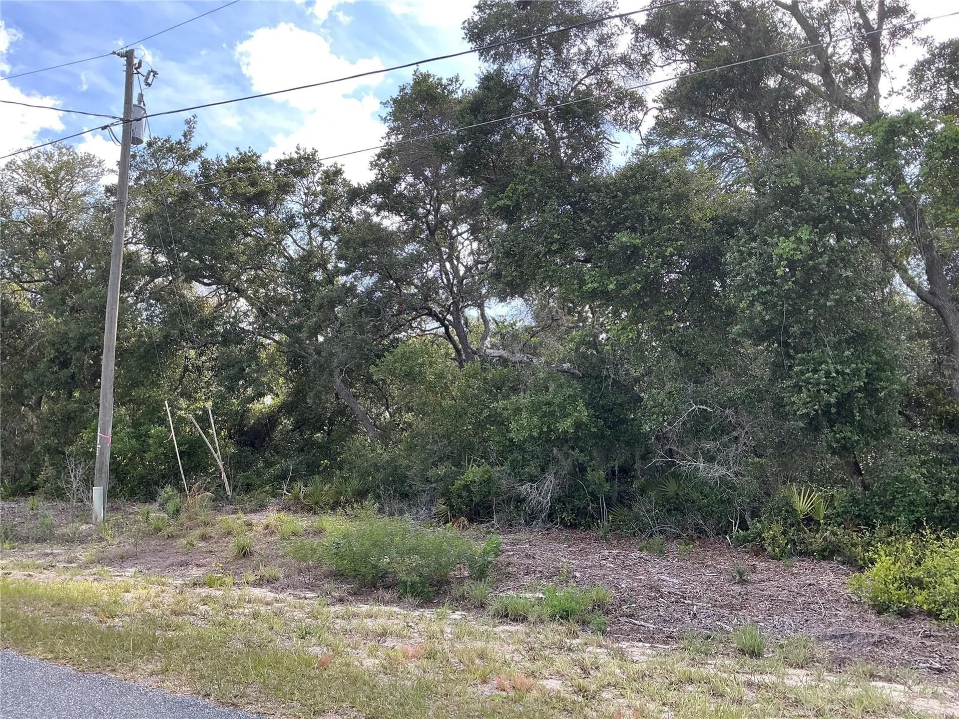 Olive Road Ocala FL 34472