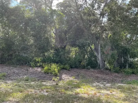Olive Road Ocala FL 34472