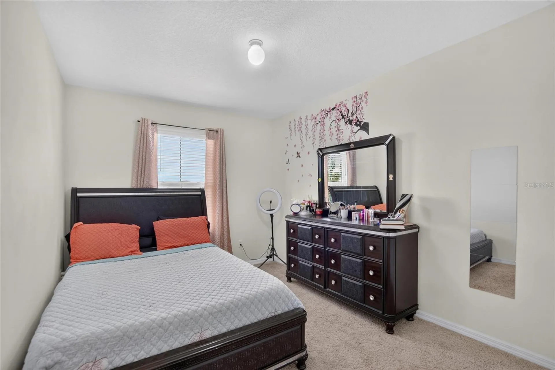 10231 Geese Trail Circle Sun City Center FL 33573