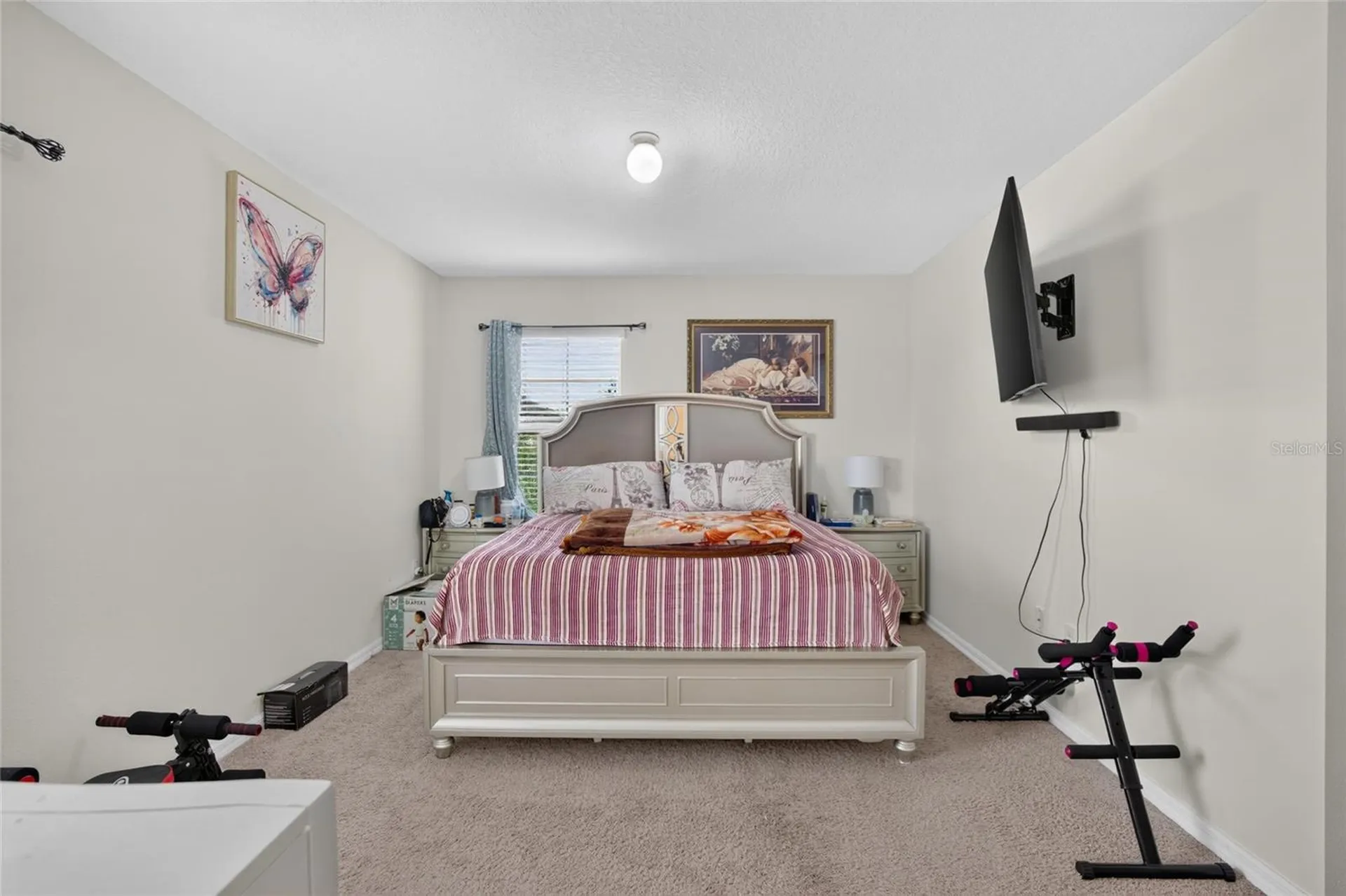 10231 Geese Trail Circle Sun City Center FL 33573