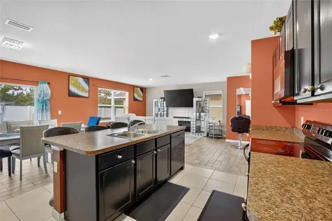 10231 Geese Trail Circle Sun City Center FL 33573