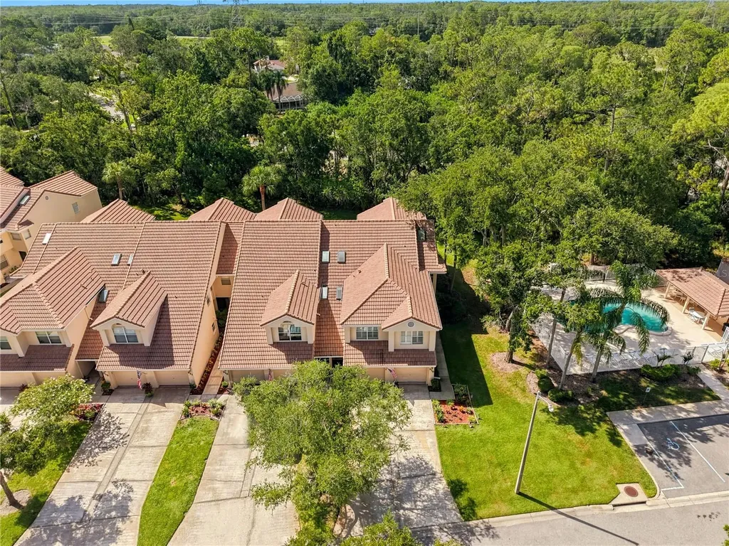 215 Clays Trail Oldsmar FL 34677