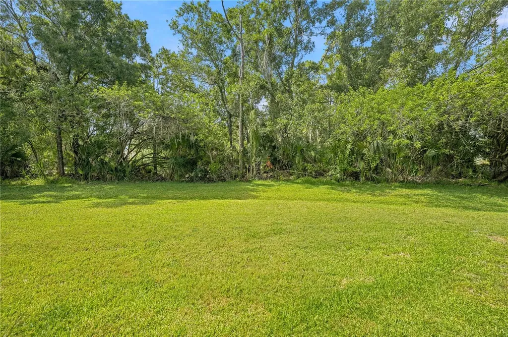 215 Clays Trail Oldsmar FL 34677