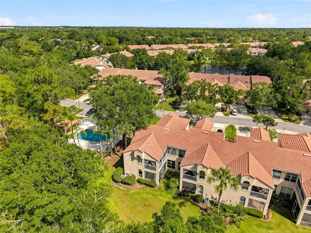 215 Clays Trail Oldsmar FL 34677