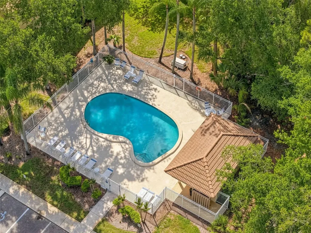 215 Clays Trail Oldsmar FL 34677