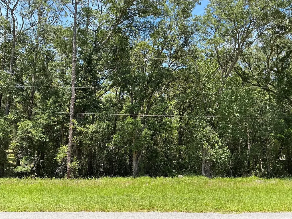 SW 102nd St Road Dunnellon FL 34431
