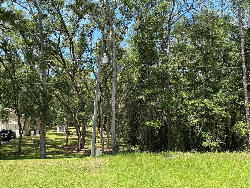 SW 102nd St Road Dunnellon FL 34431