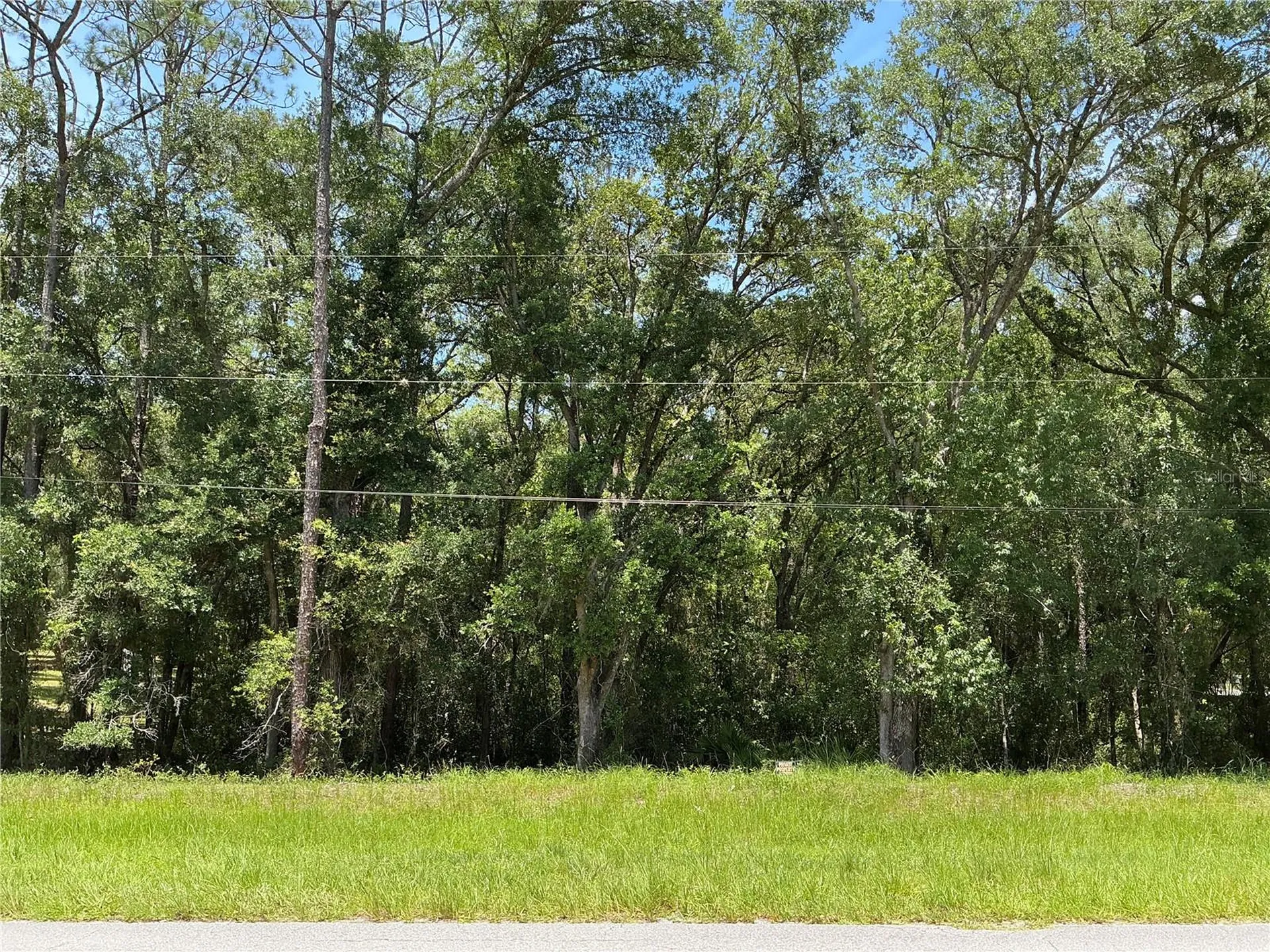 SW 102nd St Road Dunnellon FL 34431