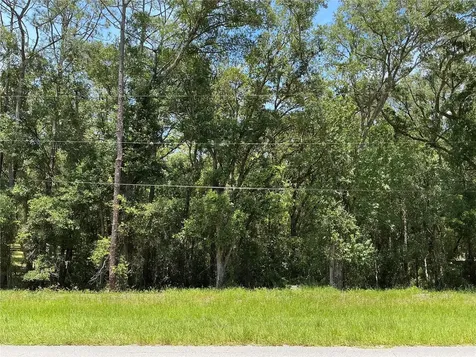 SW 102nd St Road Dunnellon FL 34431