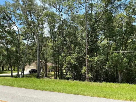 SW 102nd St Road Dunnellon FL 34431